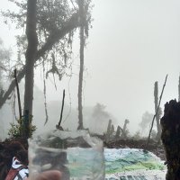 Pejalan (@hamzahtholib) 's Twitter Profile
