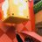 pur_lily444