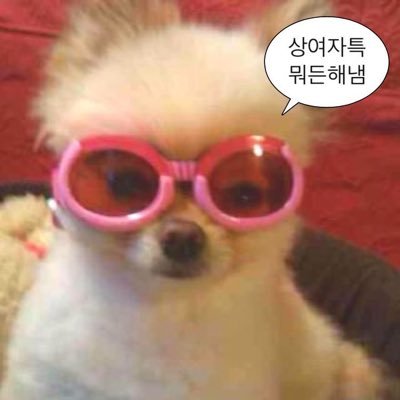 내 취향 사진들 Profile