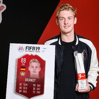 Julian Brandt Fan