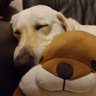 Mr56514336's profile picture. 阿波ランナー😁全てのrunnerと愛犬familyにリスペクト🐶