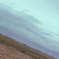 ف (@ntzzkb) 's Twitter Profile