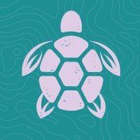 Purple Turtle Co(@PurpleTurtleCo1) 's Twitter Profile Photo