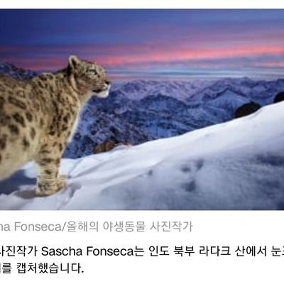 ukIO1OkvRcKfQfS's profile picture. 이재명의 부활은 대한민국 미래의 부활이다.
대전에서 살고 있고 민주당 권리당원입니다.