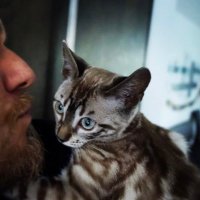 PflegeKlaus (@noirblack23) 's Twitter Profile