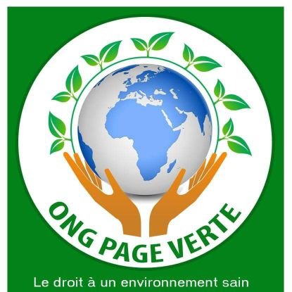 L'ONG PAGE VERTE a pour objectif d'impliquer les jeunes dès les bas ages au développement durable et la protection de l'environnement pour un avenir meilleure.