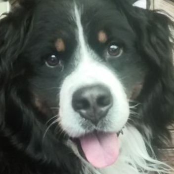 KrzychuPenrith's profile picture. 