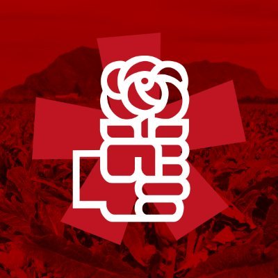 Twitter oficial del PSPV-PSOE Vega Baja.