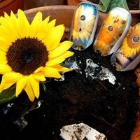 Lou (@vandammelouise) 's Twitter Profile