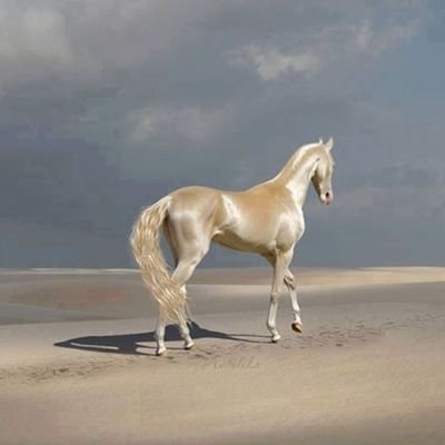 Silver horse