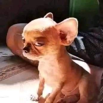 makhombaembili's profile picture. 