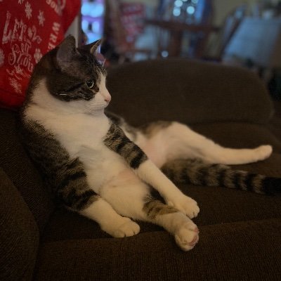 Michell27568762's profile picture. 