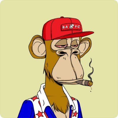 Francisco1956_'s profile picture. rekt / BAYC / BAKC / MAYC