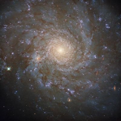 w0_ql's profile picture. we are the universe trying to understand itself