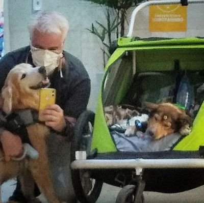 KujakuFushigina's profile picture. **Don't follow me, pl3as3** **Nã0 me s1gam, por favor**