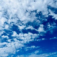 mayumi*** (@ma06292_4) Twitter profile photo