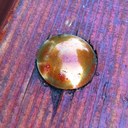 Daniel Shimon - @DanielShimon - Twitter