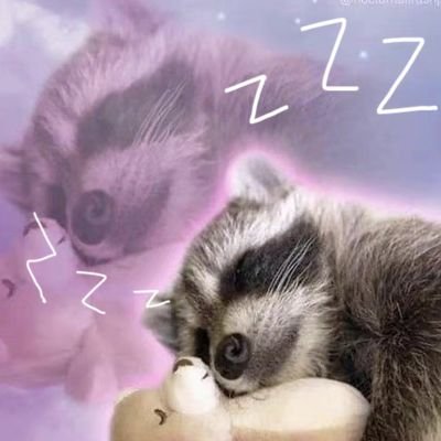 TTpieさんのプロフィール画像