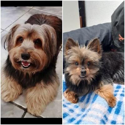 Luciana89517878's profile picture. 