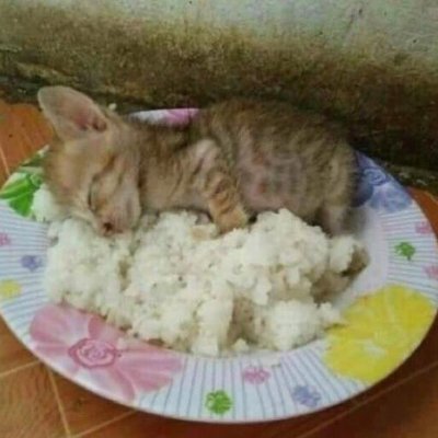 Dioguil1's profile picture. 