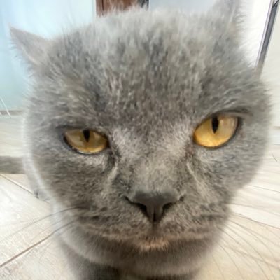 arsnchld3's profile picture. 