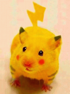 のんびりまったり生きています。でもたまに燃え尽きて死んでます。