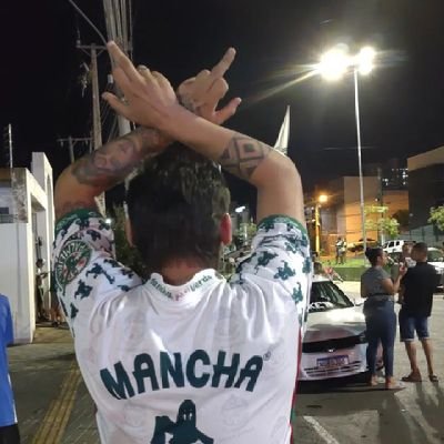 yshizukamv's profile picture. Mancha verde