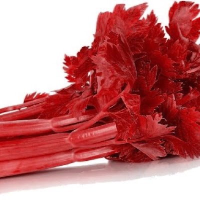 apiorojizo's profile picture. 