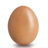 Egg(@Eggsaysss) 's Twitter Profile Photo