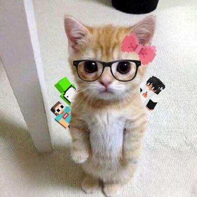 z4kiyy4h's profile picture. 