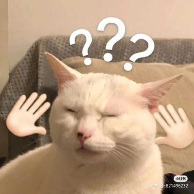 Joo_csc's profile picture. 不要熬夜