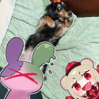 うさちゃんせんせいver.2🍆 (@harusame_sensei) Twitter profile photo