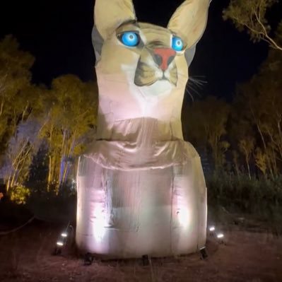 samfutbal's profile picture. 