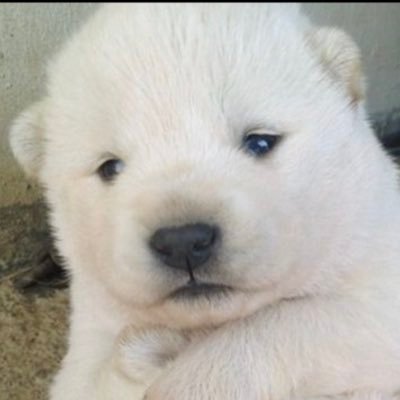 tkselddl_710's profile picture. 눈 떠보니 내가 해적선 탑승? 그러니까 내가 항해 중?
