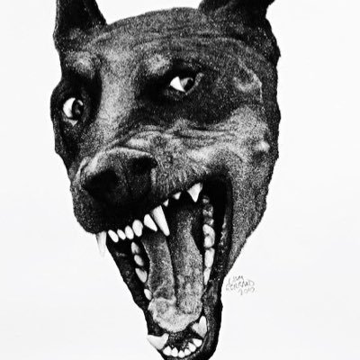 wiredtobeinsane Profile Picture