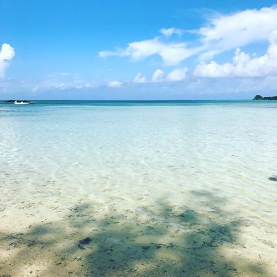 tomovoxy7857's profile picture. 