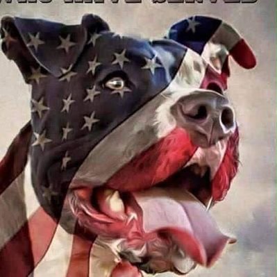 ❤ my country, support Veterans, Back the Blue My hero is my hubby, Viet Vet. 55 yrs in Me, retired to Va,
NO DMs.