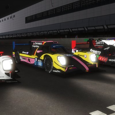 @rFactor2 driver for @cerveauxcompti1
@GlobalEndMod 3rd in GTE Pro in 21-22 
2 time winner in the 22-23 season