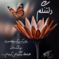 Vahid (@vahid84358359) 's Twitter Profile