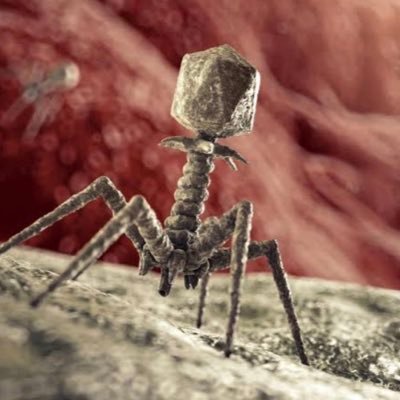 Developing a unique phage cocktail against all known bacterial pathogens across the globe.Looking for Phage therapy?,Contact us.