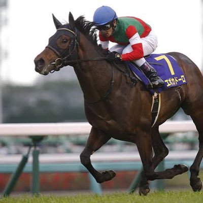 EpocadOro1029's profile picture. エポカドーロ号推しです。 競馬予想もしてます🐴💸