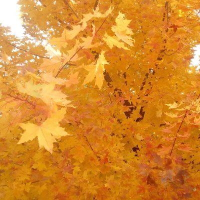 liuzhiyou197711's profile picture. https://t.co/Scy8zu1QXU（国内）
https://t.co/GRuLPQuZ0l