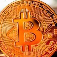 criptonews19's profile picture. 