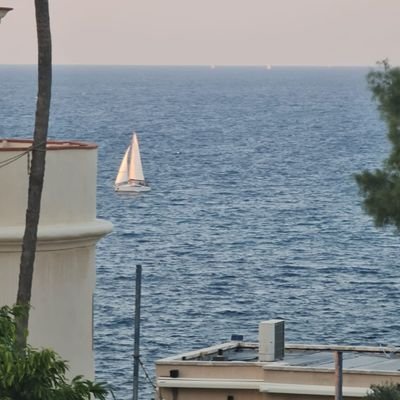 KovoMoshe's profile picture. 