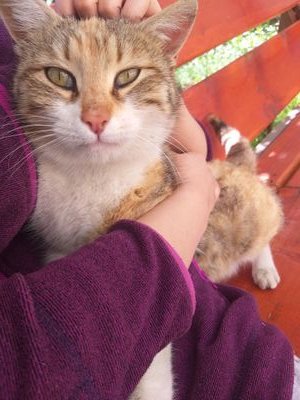 pdaleyya's profile picture. 