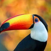 oconpa622's profile picture. HeLLo w0rLd 🧑💻 • https://t.co/juURuCrZdQ