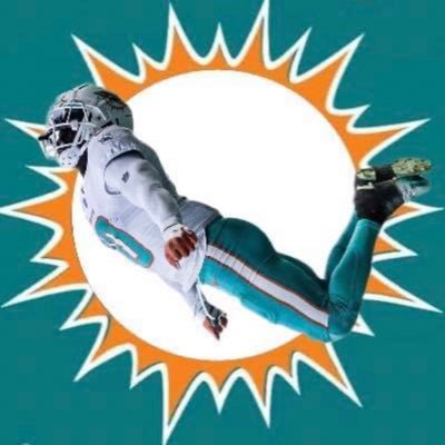 Miami dolphins fan