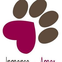 huellitas de amor (@inmensoamor) 's Twitter Profile