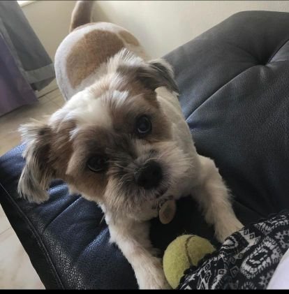 etilve11's profile picture. 