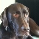 Campbell Walker - @soupy329 - Twitter